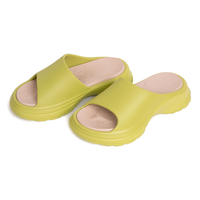 Indoor Slippers with Thick Soles