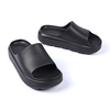 Custom Platform EVA Slides