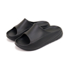 Designer Platform EVA Slides