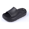 Custom Platform EVA Slides